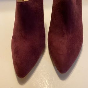 Steven by Steve Madden Merci wine colored by mules
